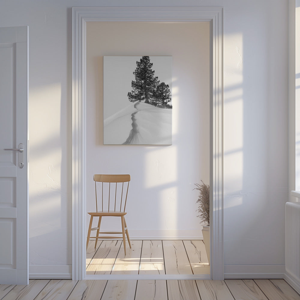 Over sneeuw en vormen | Canvas