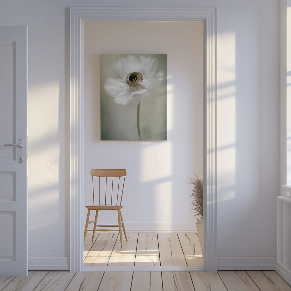 Enkel Wit | Canvas