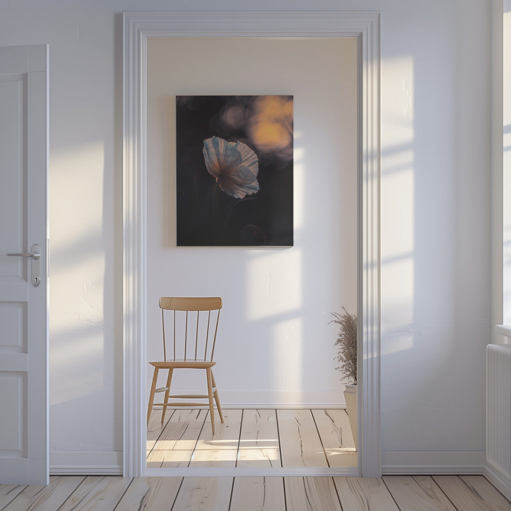 Last Ray | Canvas