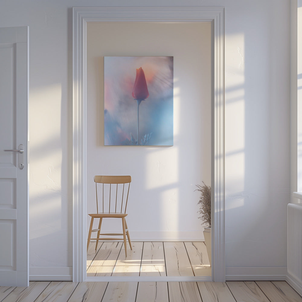 Douceur & Volupté | Canvas