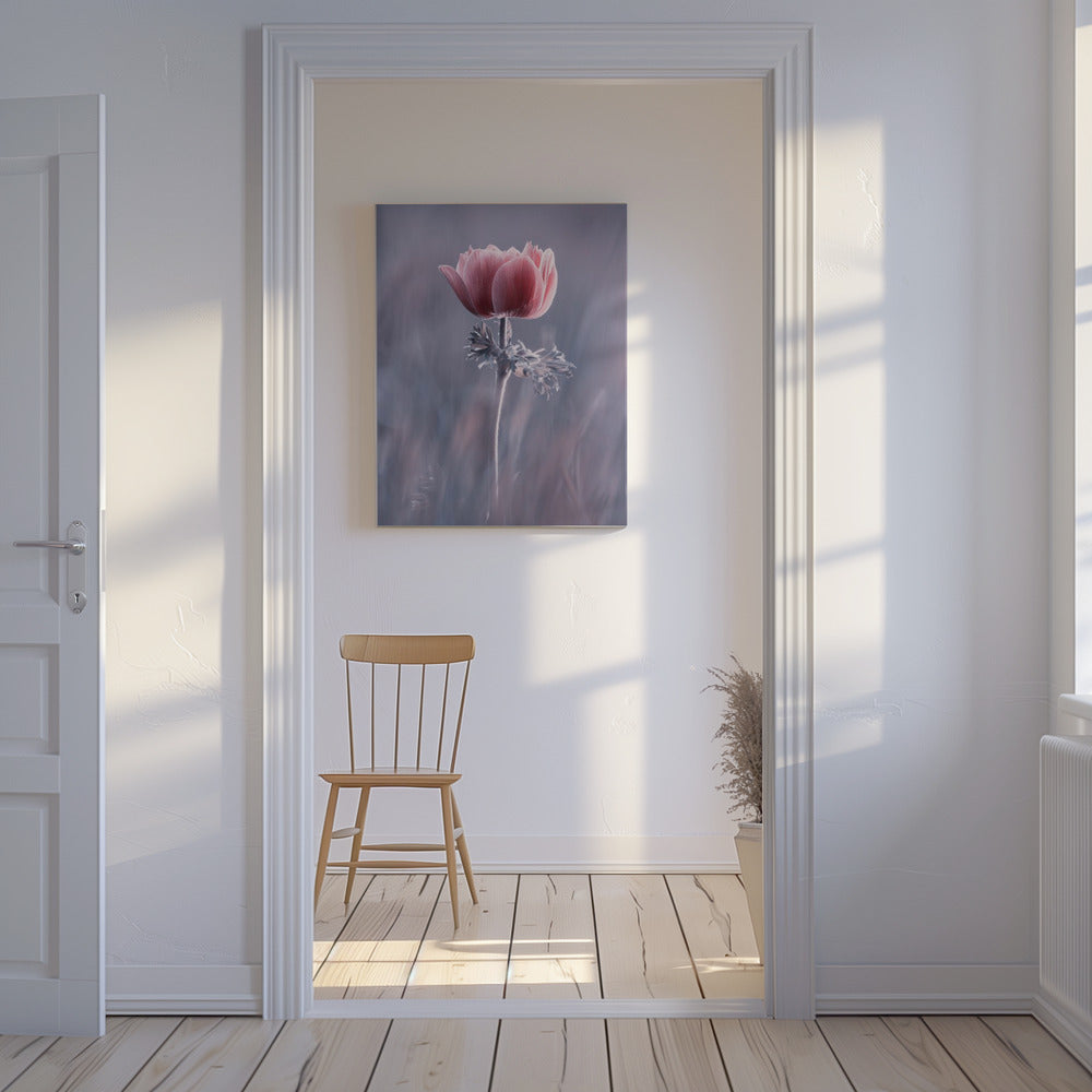 Roze! En dan? | Canvas