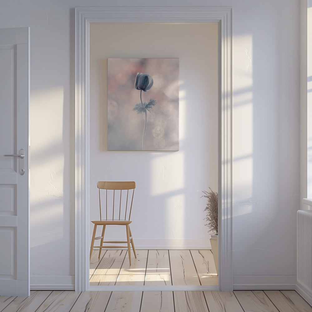 Soliste | Canvas