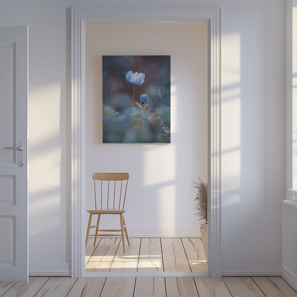 Opgroeien | Canvas