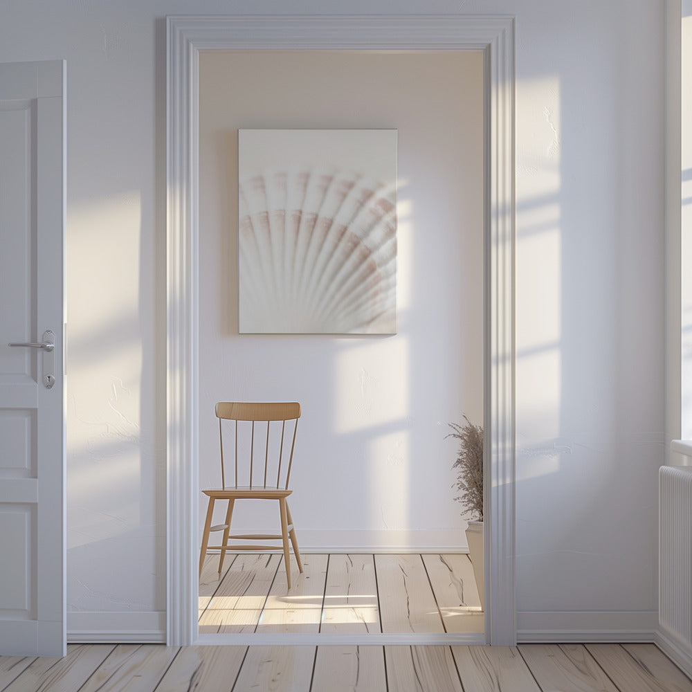 Schelp | Canvas
