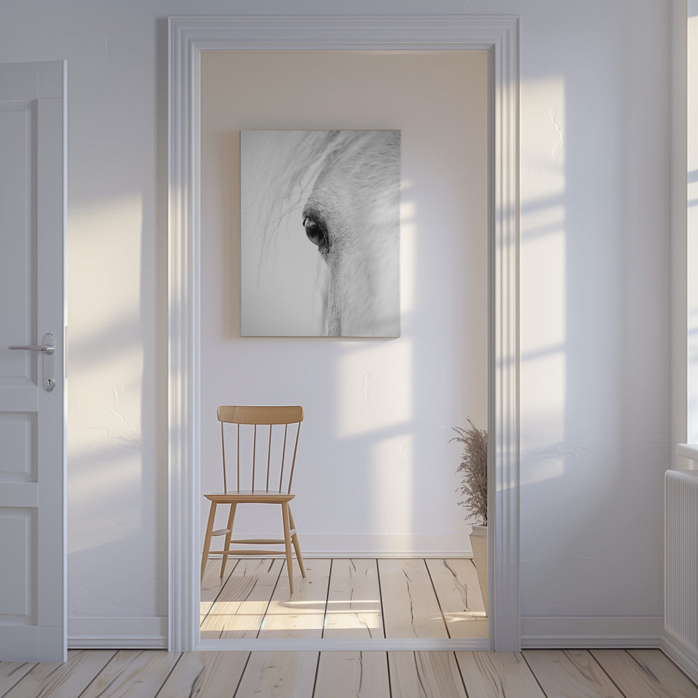 Hose eye | Canvas