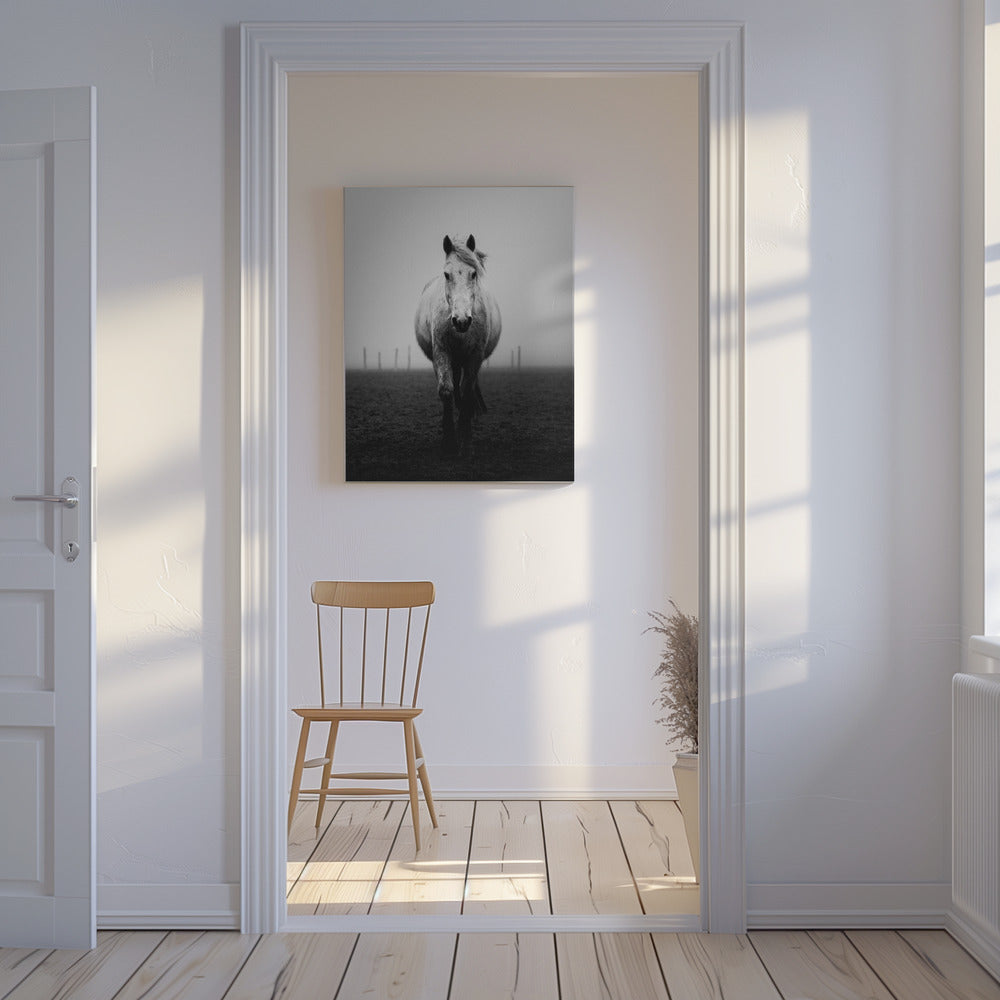Confidence | Canvas