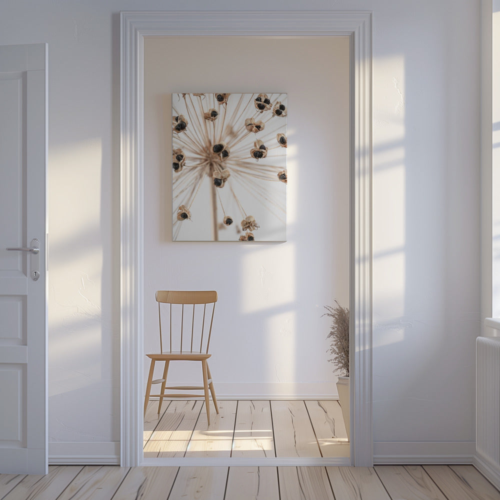 Gedroogd_007 | Canvas