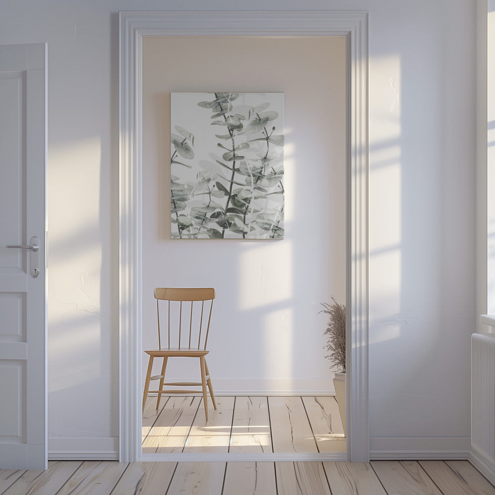 Eucalyptus_001 | Canvas