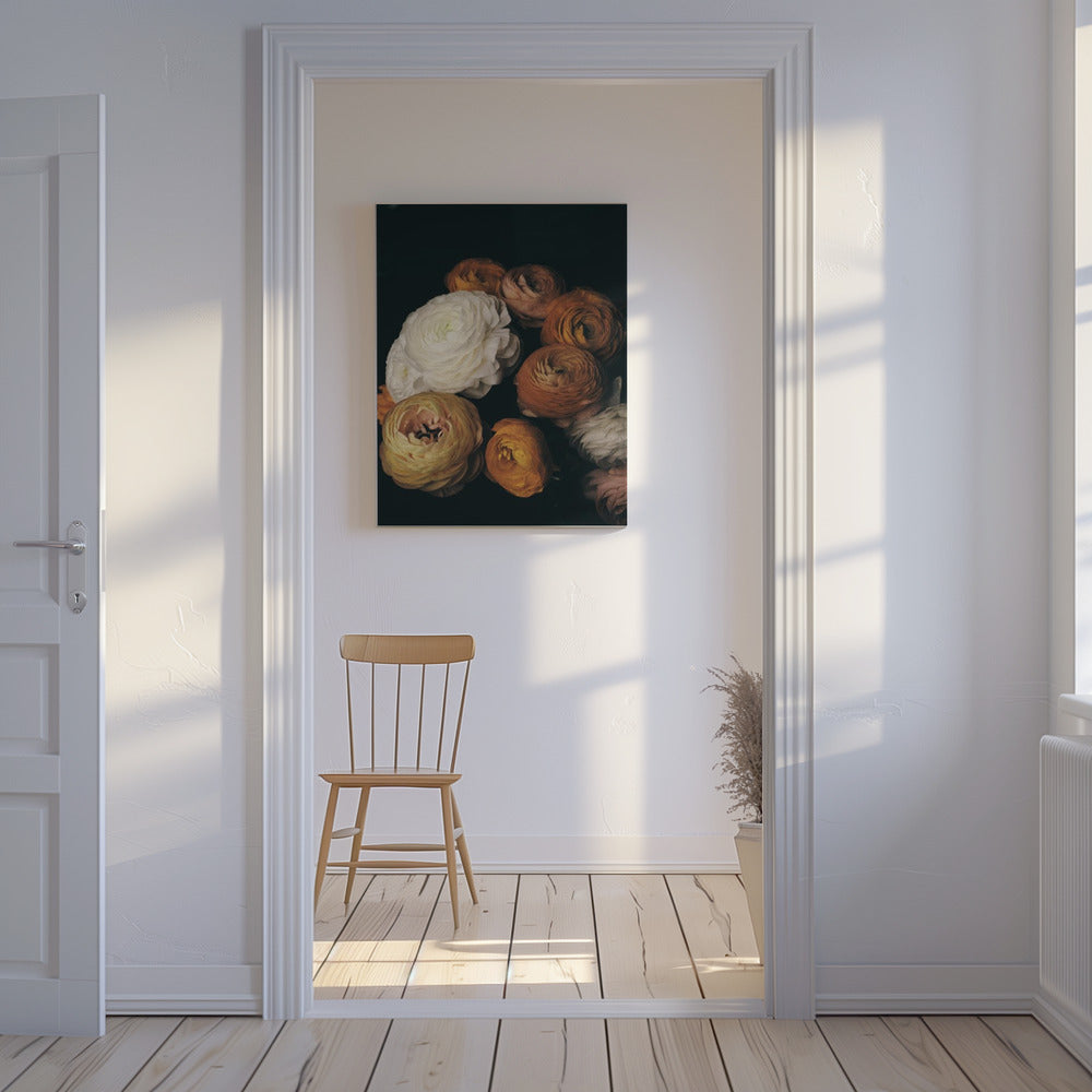 Ranonkel | Canvas