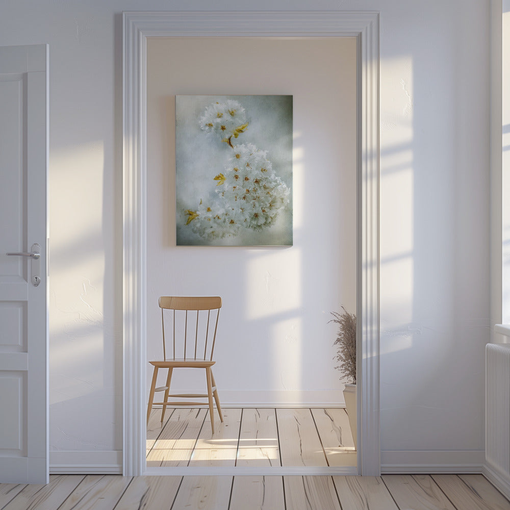 Kersenbloesem | Canvas