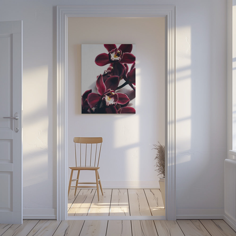 Fluwelen orchidee schemering | Canvas