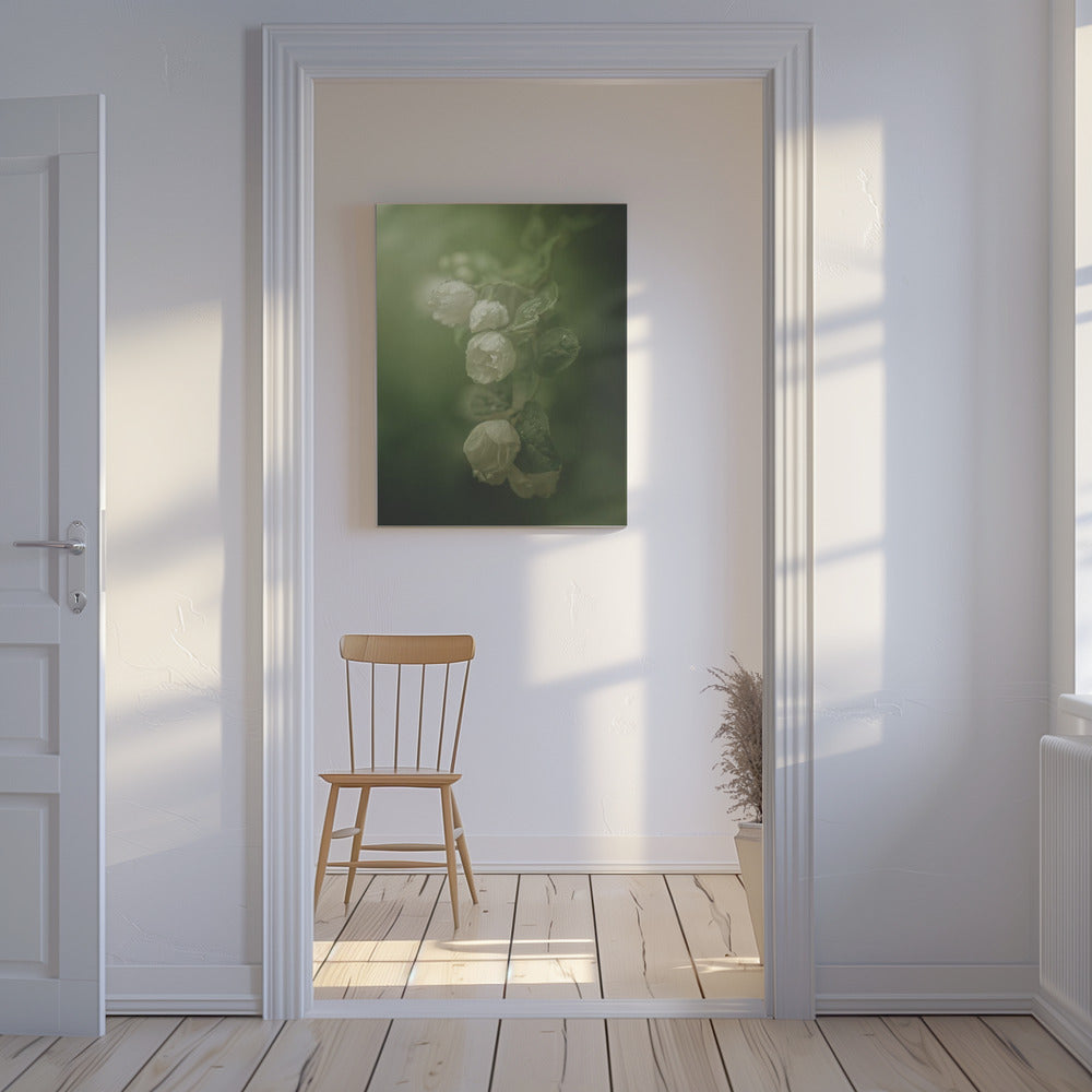 Jasmijn | Canvas