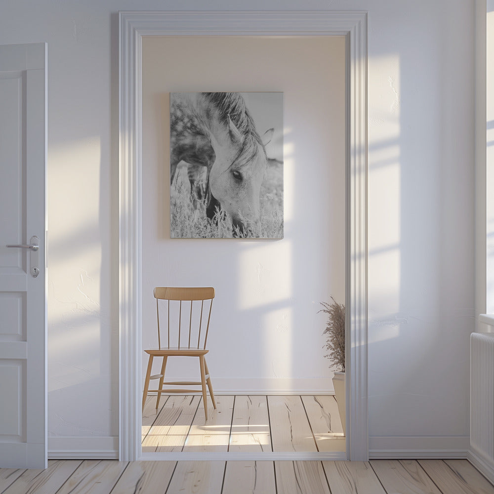 hengst | Canvas