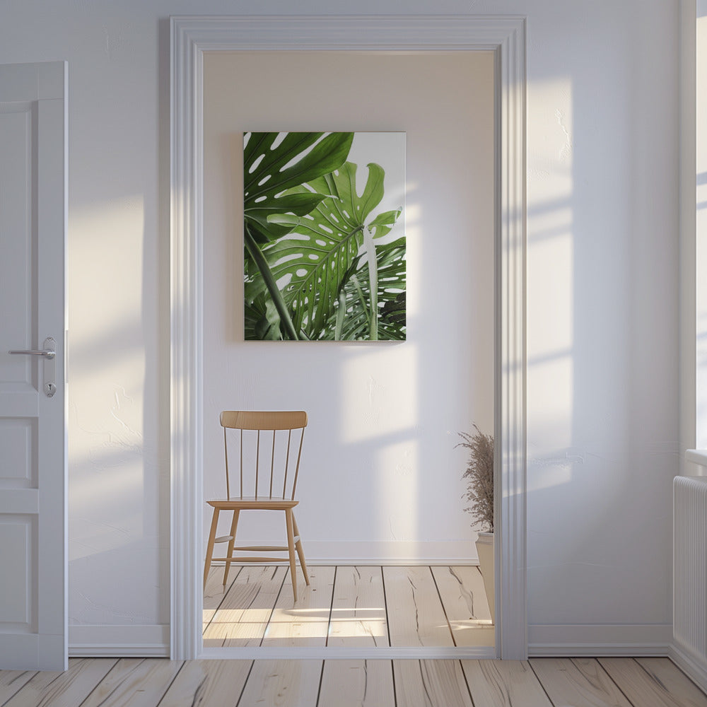 Jungle | Canvas