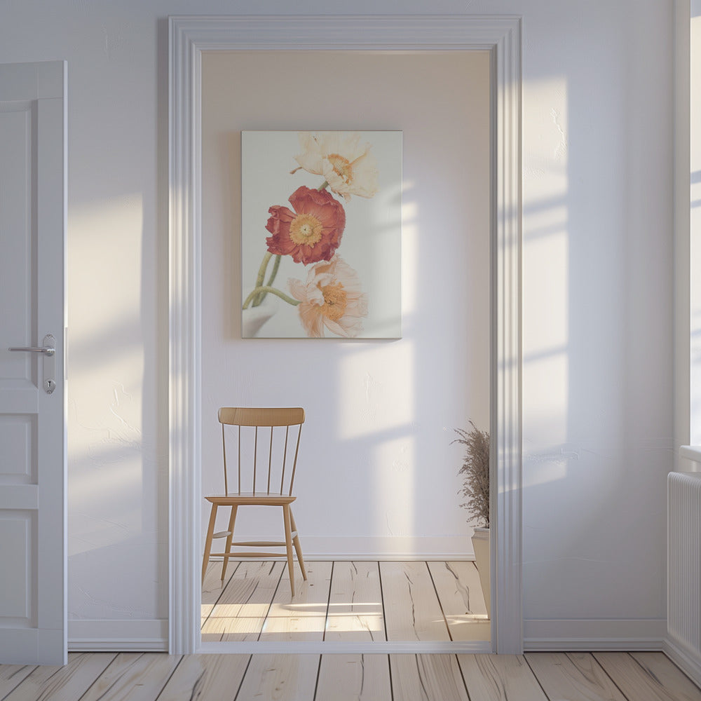 Klaprozen | Canvas