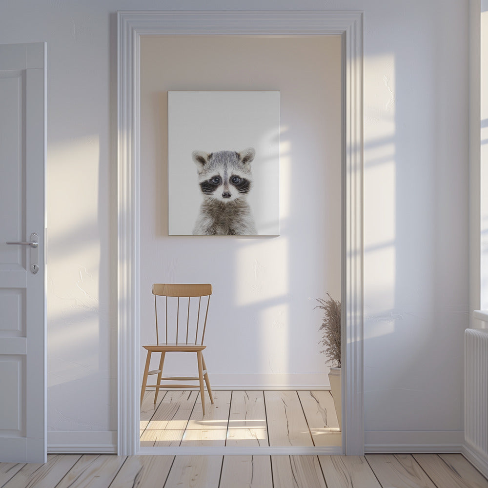 Baby Wasbeer | Canvas
