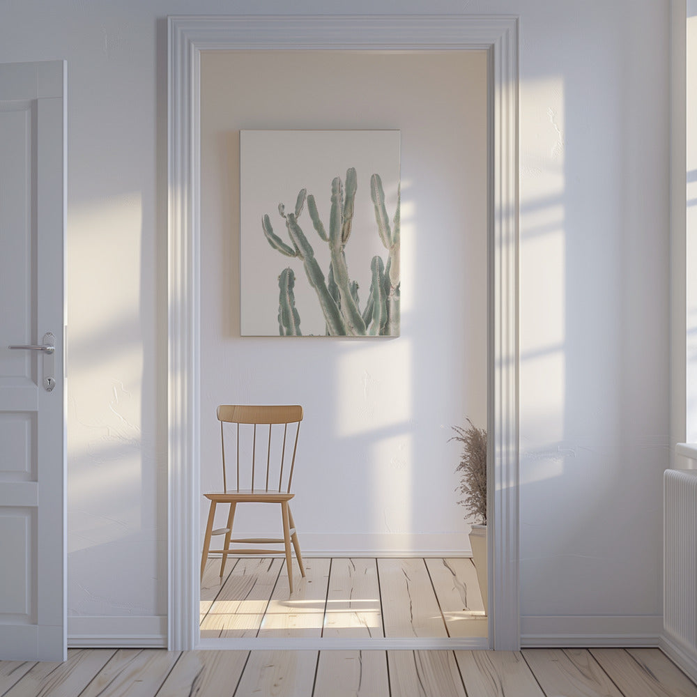 Zonsopgangcactus | Canvas
