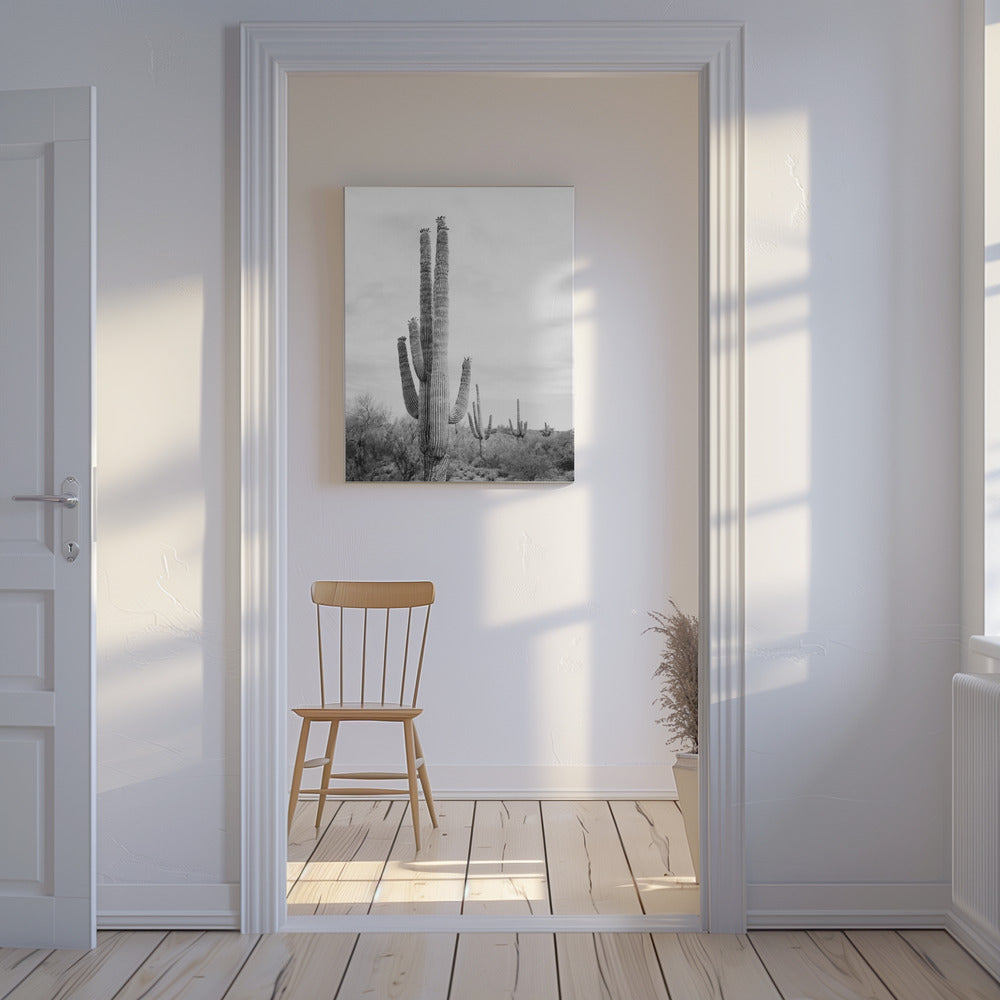 Saguaro Zwart-wit | Canvas
