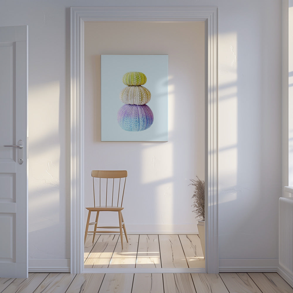 Zee-egels | Canvas