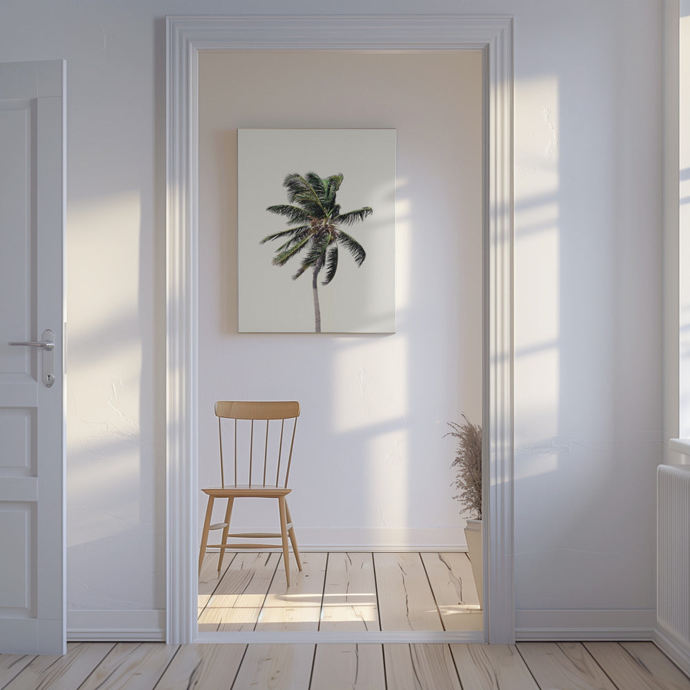 Winderige palmboom | Canvas
