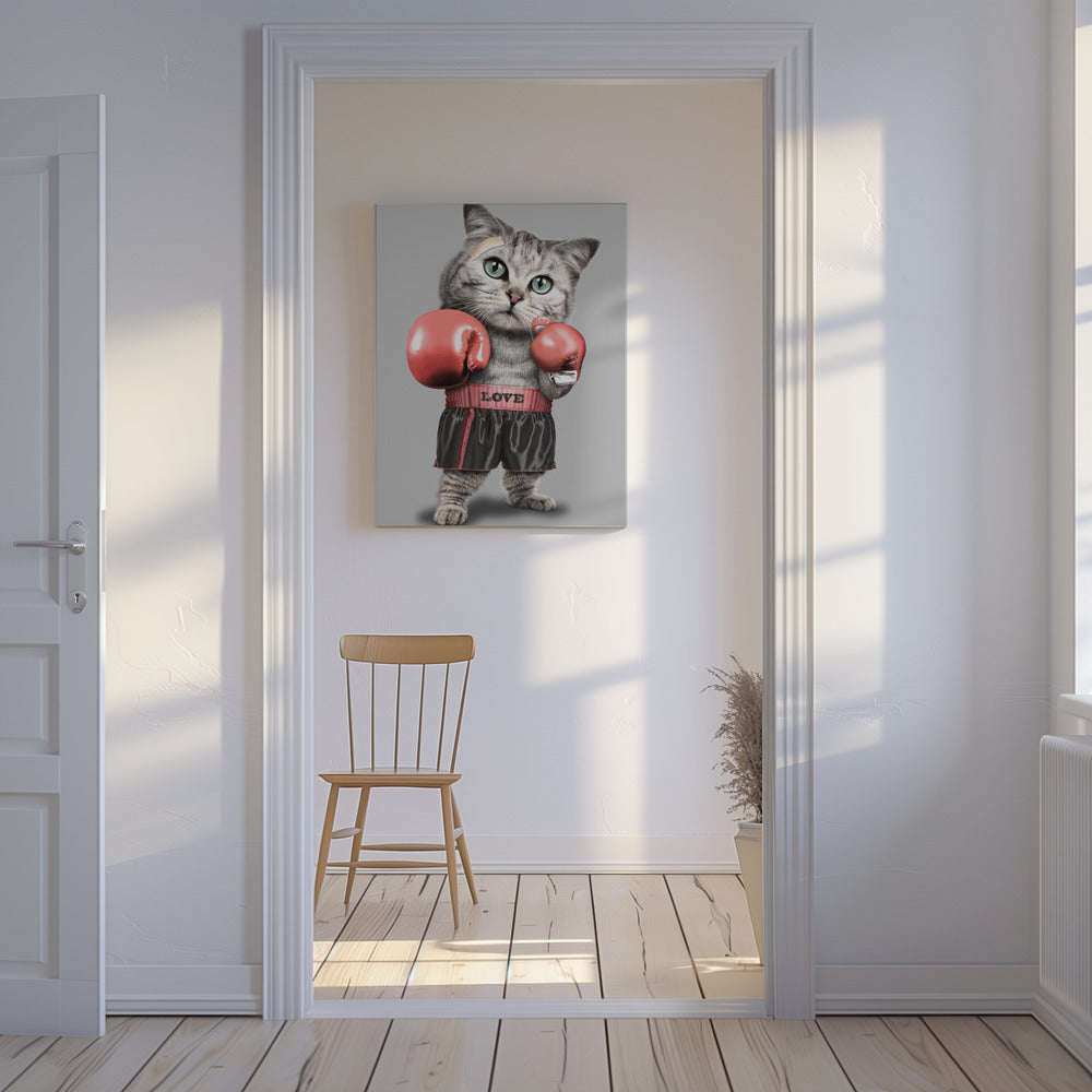 boksende kat | Canvas