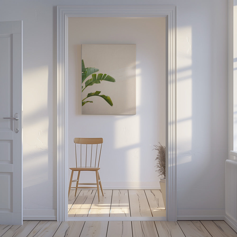Bananenplant van Cannes | Canvas