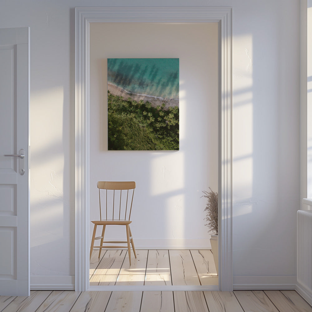 Palm Beach van bovenaf | Canvas