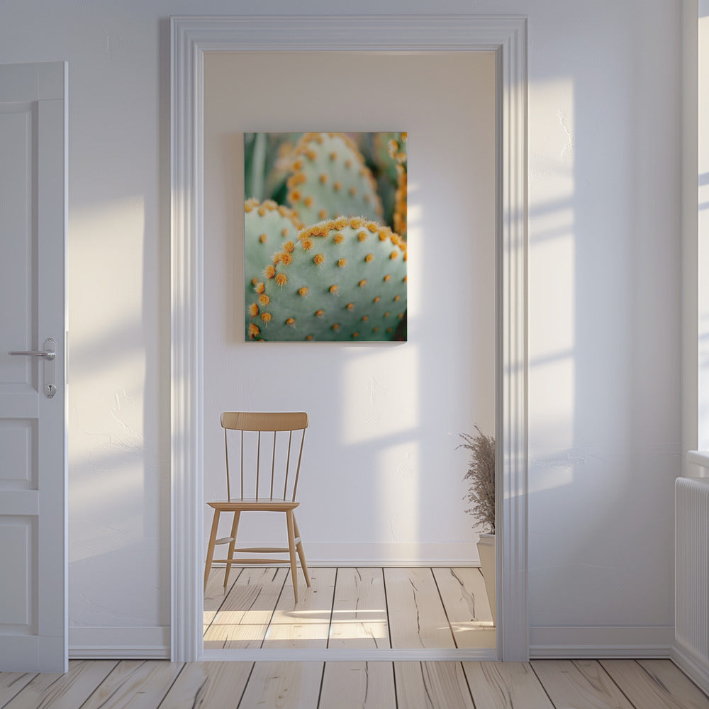 Oranje en Groen II - Botanische fotografie van Marrakech | Canvas