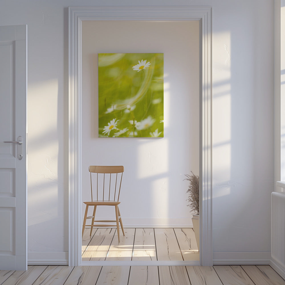 Madeliefjes | Canvas