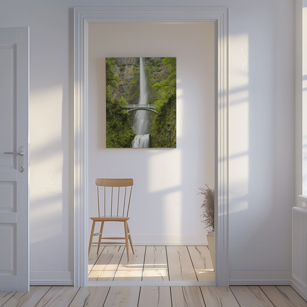 Zachte staart | Canvas