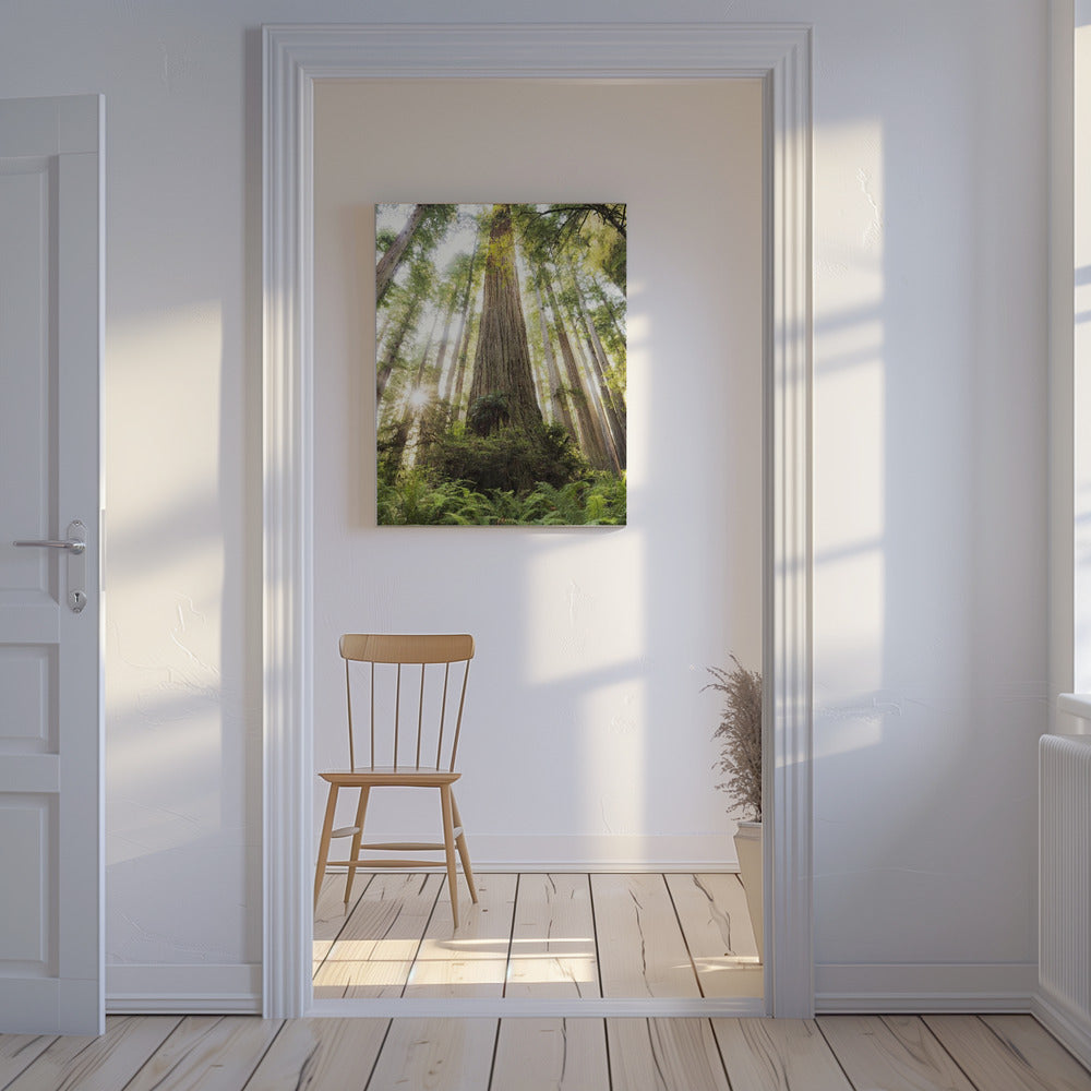 Prachtig bos | Canvas