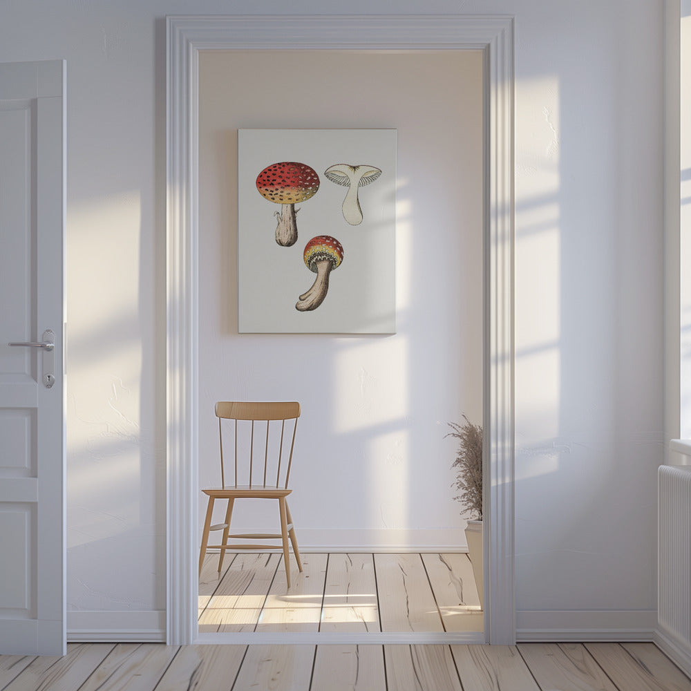 Handgetekende vliegenzwam | Canvas