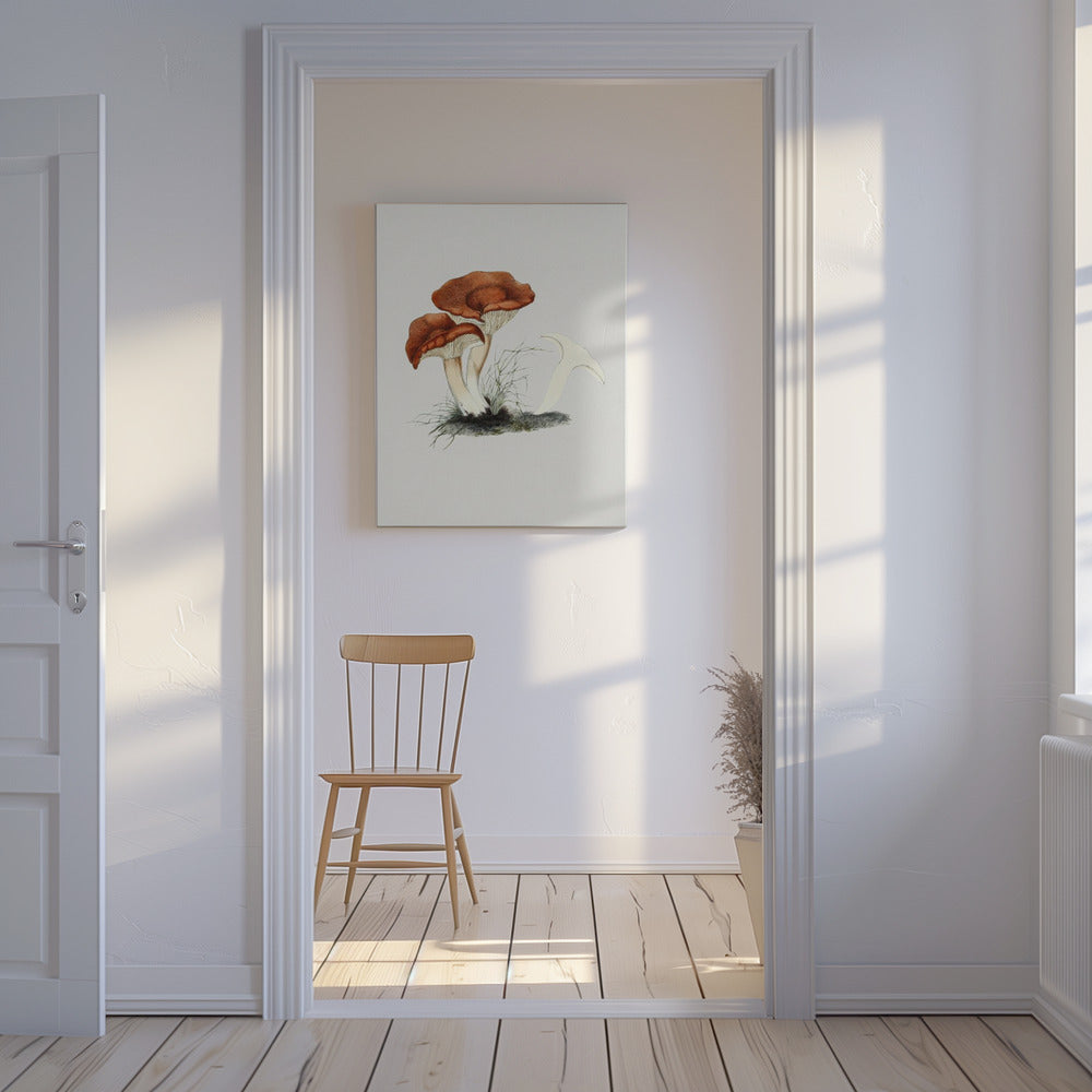 Met de hand getekende roodbruine melkzwam | Canvas