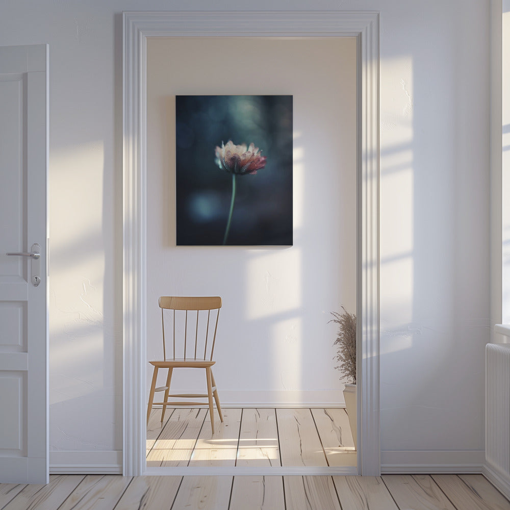 Dauwgekuste bloesem | Canvas