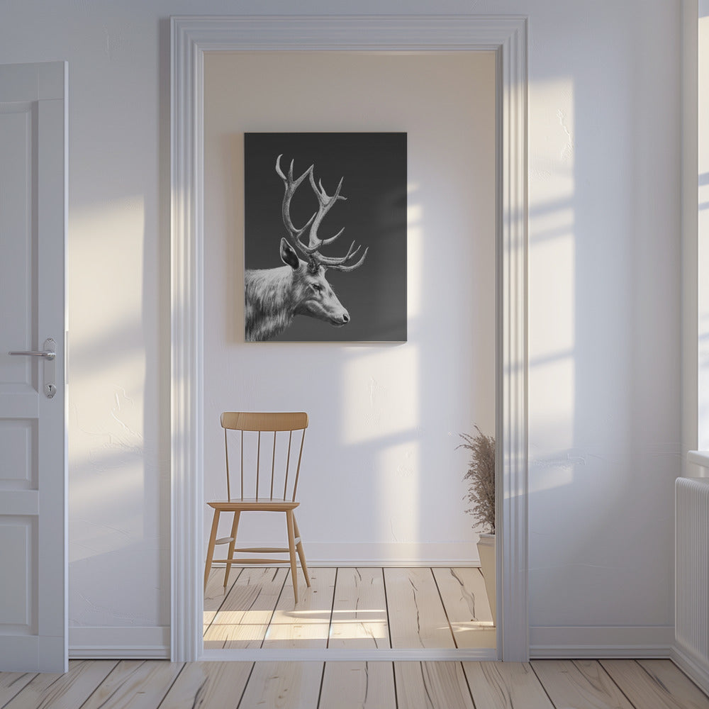 Rendier | Canvas