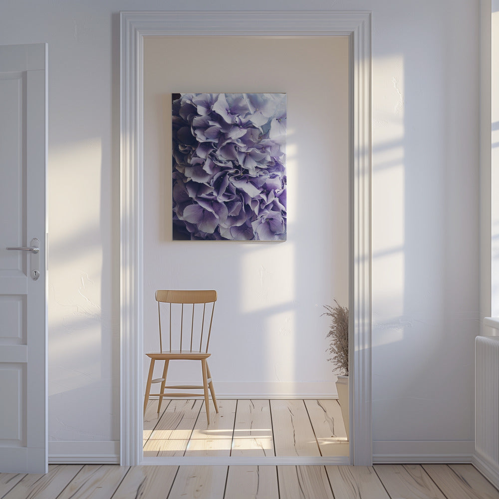Vibrant Purple Hydrangea Flowers | Canvas