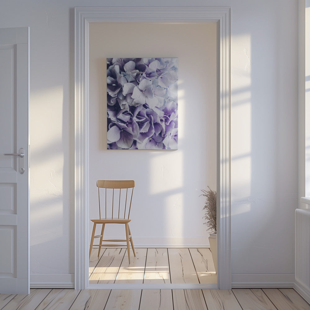 Vibrant Purple Hydrangea Flowers | Canvas