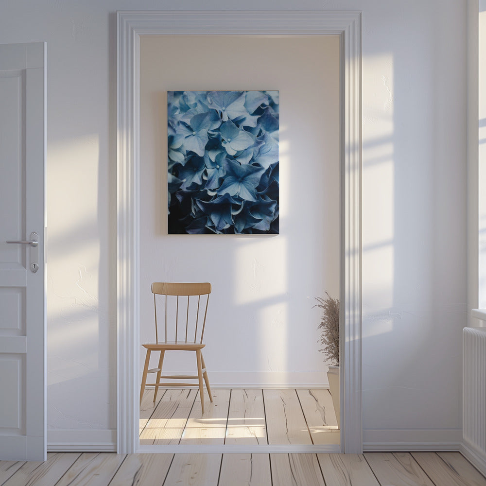 Levendige blauwe hortensia's | Canvas