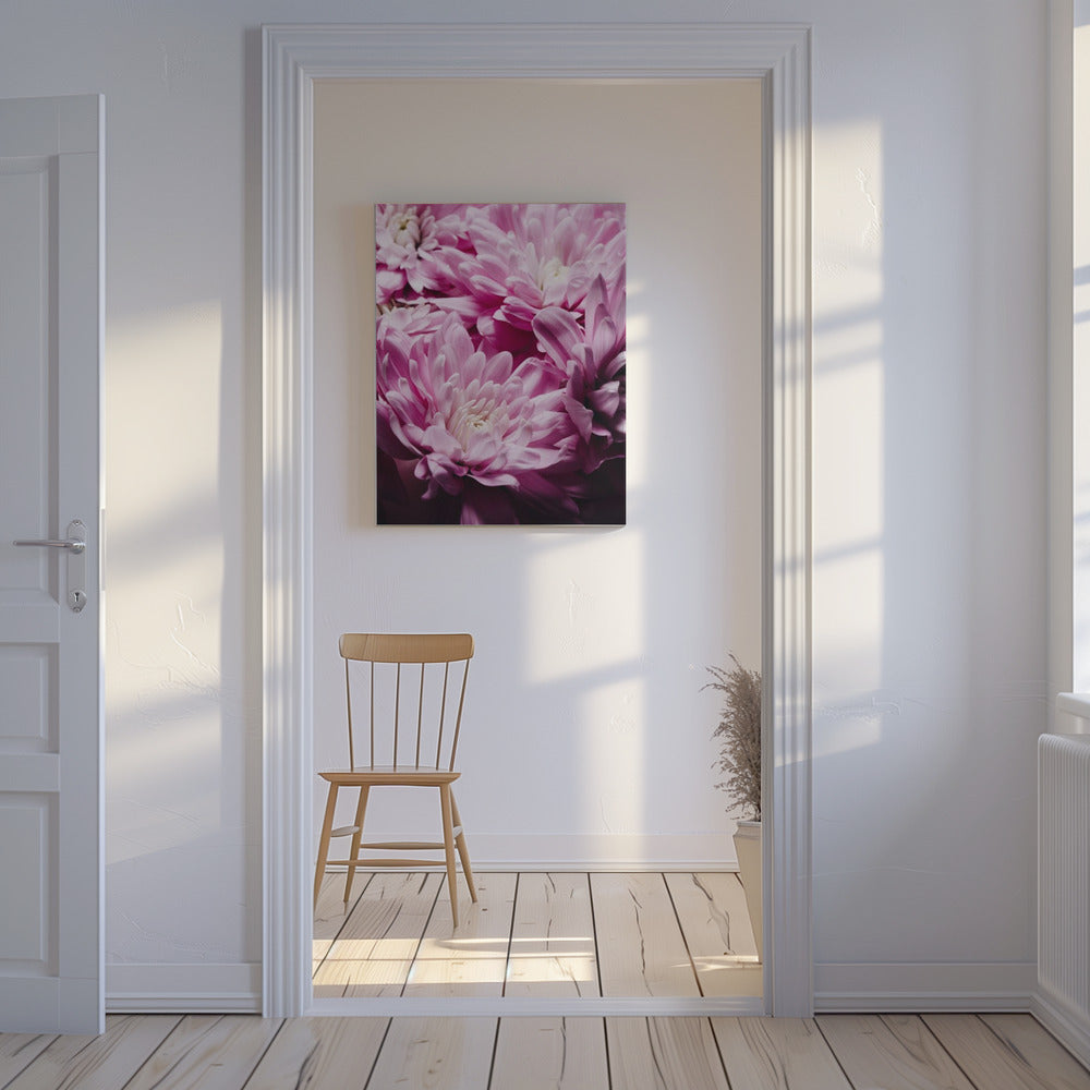 pink Chrysanthemum Blossom | Canvas