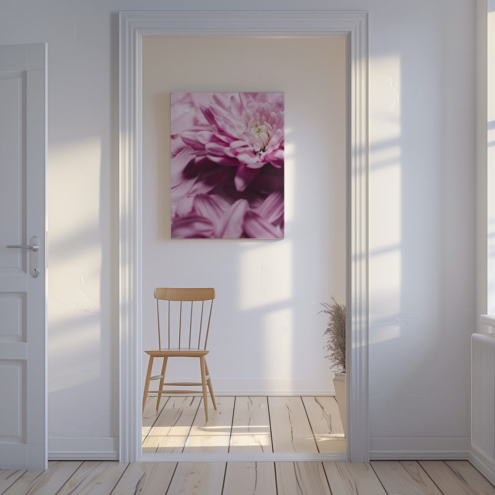 Roze Bloemblaadjes Symfonie | Canvas