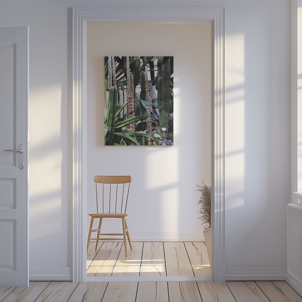 Cactus Sanctuary | Canvas