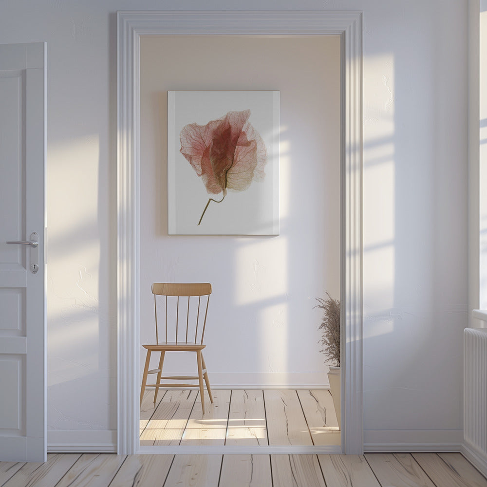 Delicate Bloemblaadjesaders | Canvas