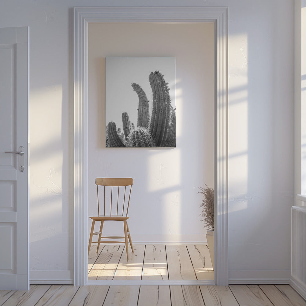 Woestijnreuzen | Canvas
