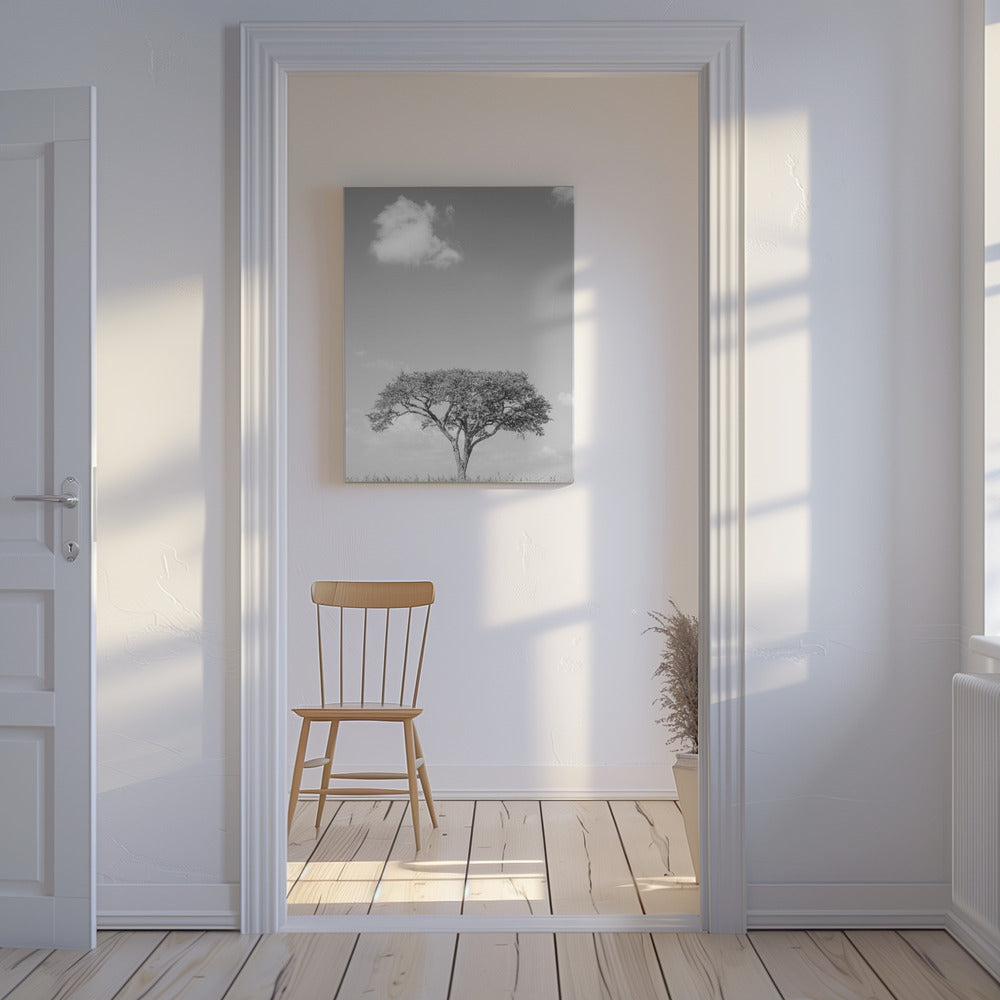 Dromen van een eenzame boom | Canvas