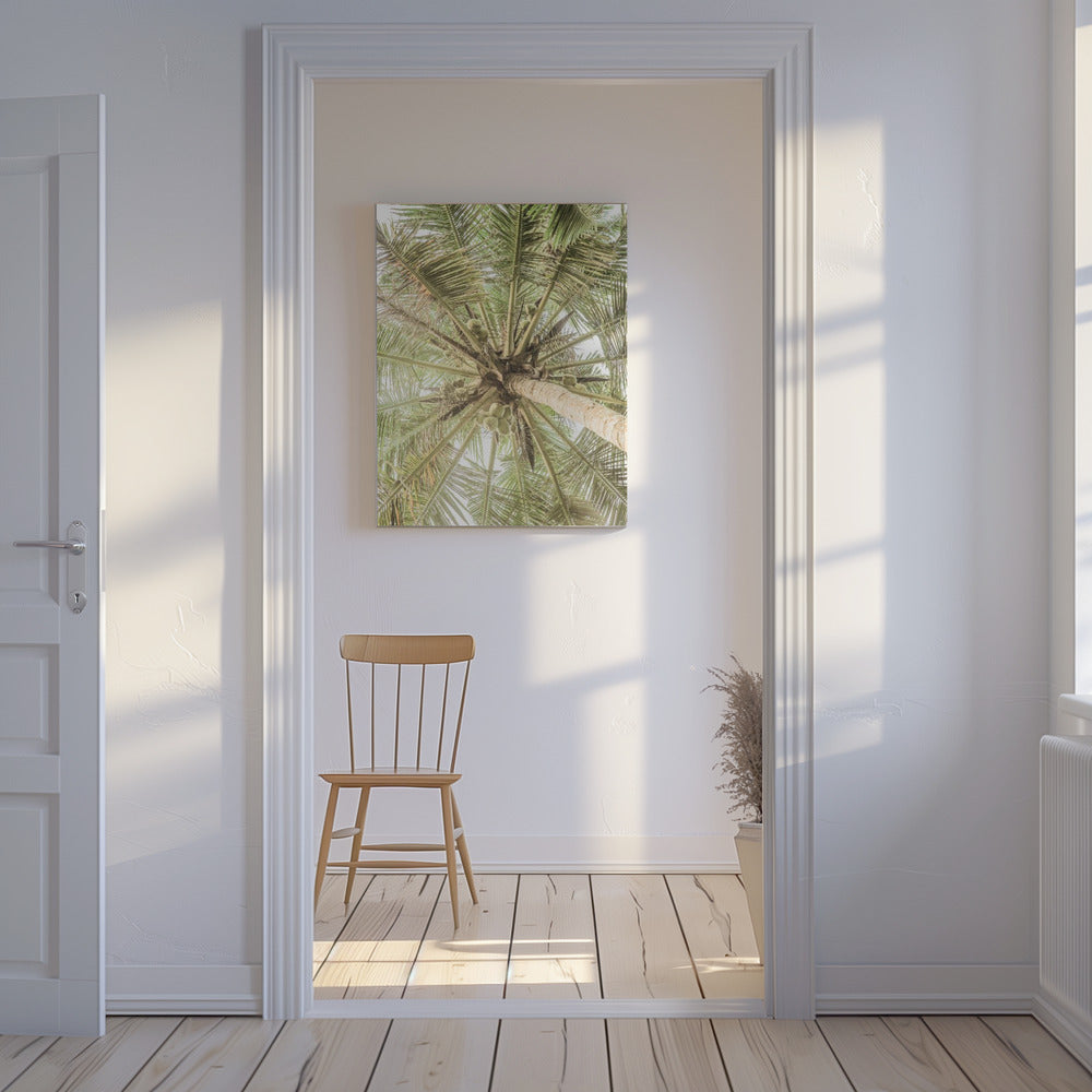 Kokosnootluifel | Canvas