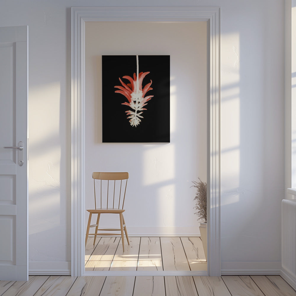 Petal Skeleton Fusion | Canvas