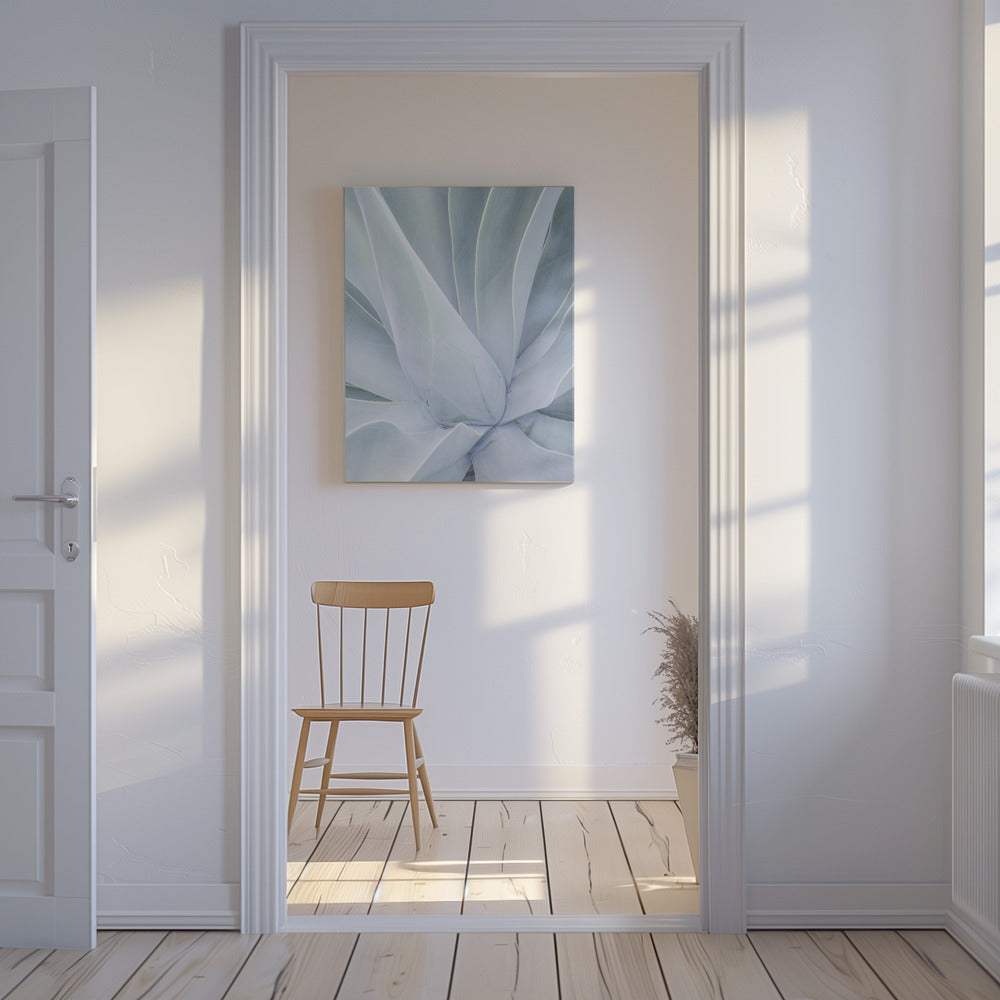 Zilverachtige vetplant | Canvas