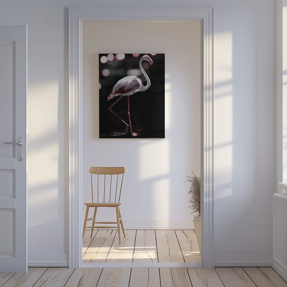 Elegant Flamingo | Canvas