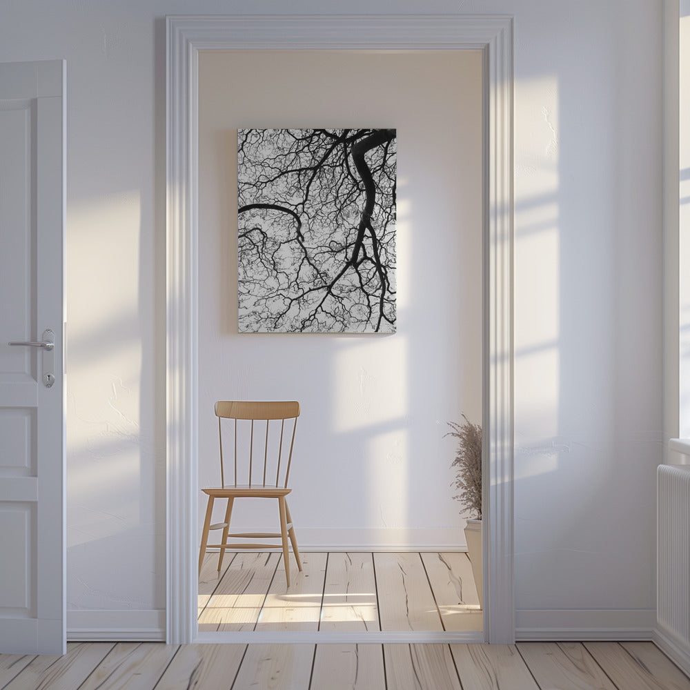 Dans van de takken | Canvas