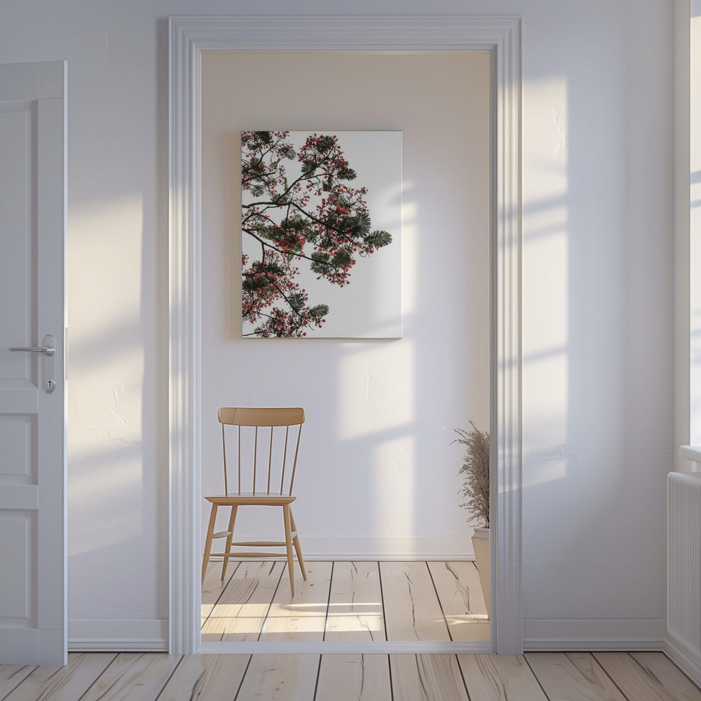 Bloesemluifel | Canvas